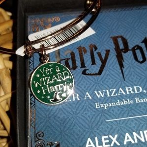 Yer a Wizard Alex and ani and necklace talisman